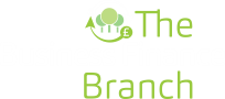 The Busines Finance Branch Logo